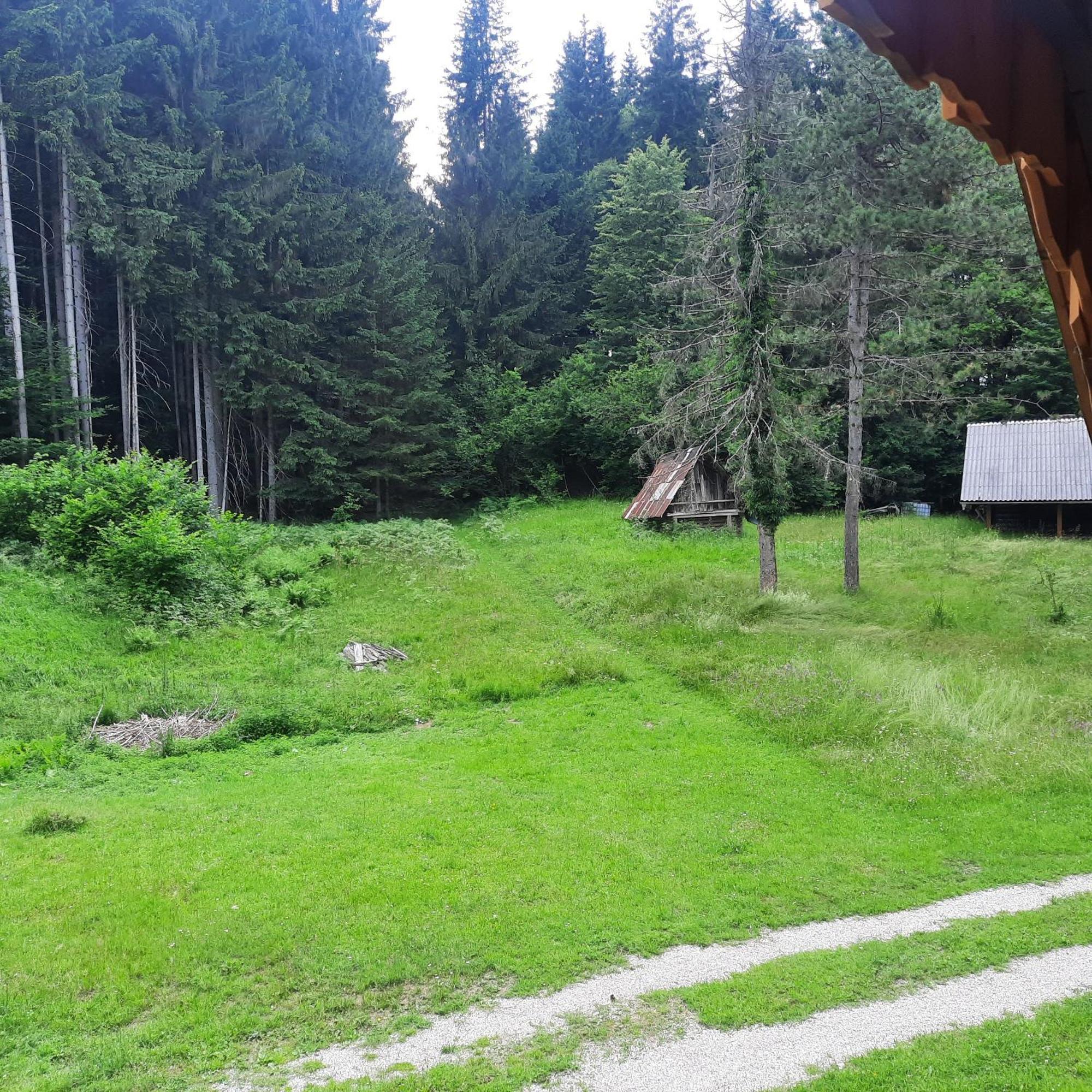 Koca V Gozdu, Forest House Near Bled Luaran gambar
