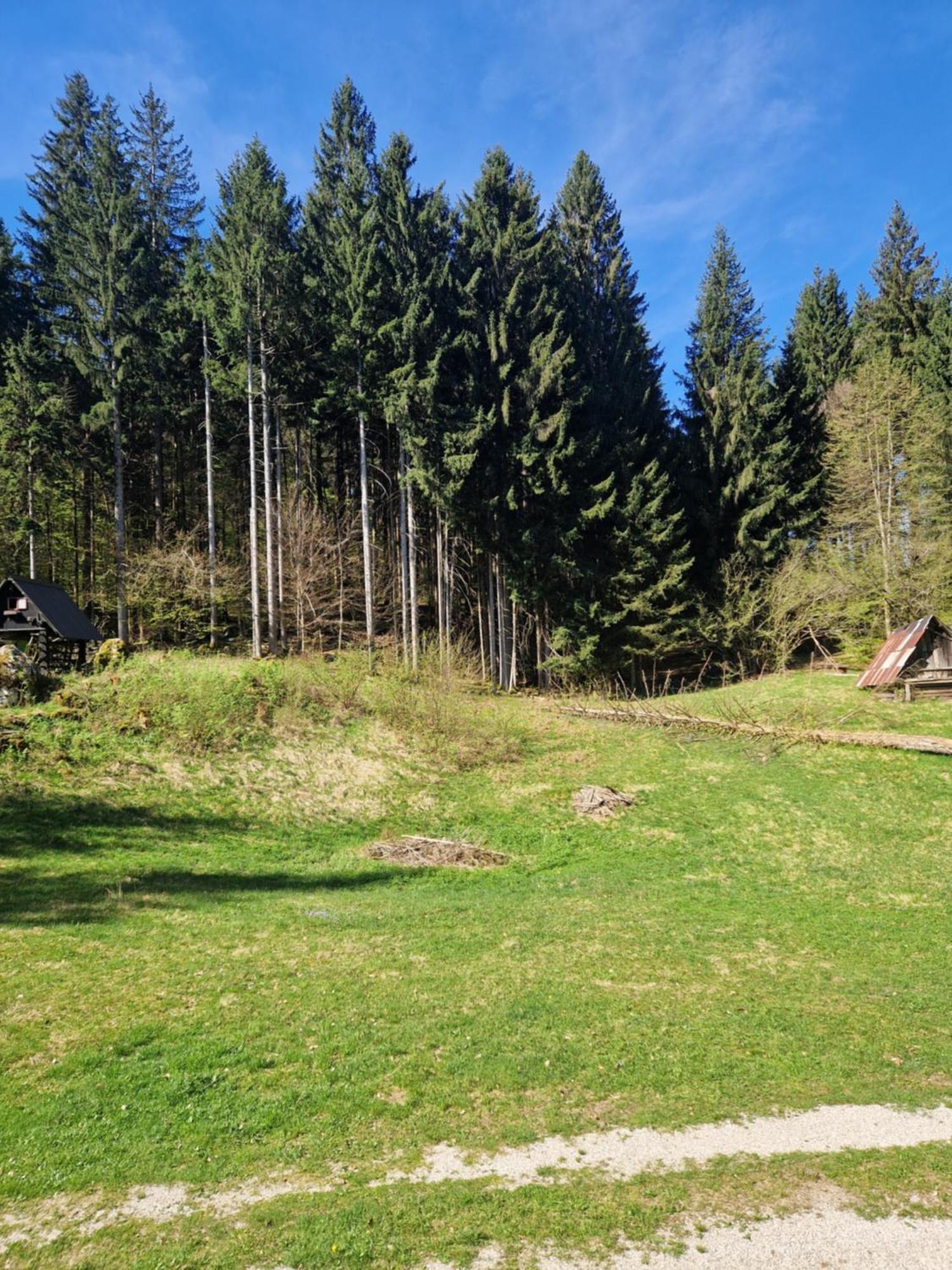 Koca V Gozdu, Forest House Near Bled Luaran gambar