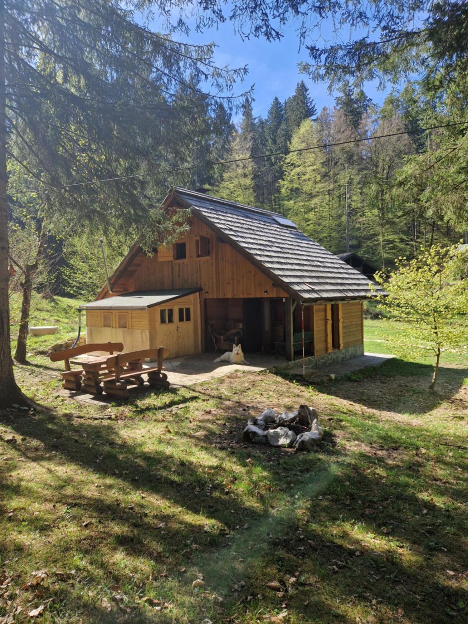 Koca V Gozdu, Forest House Near Bled Luaran gambar