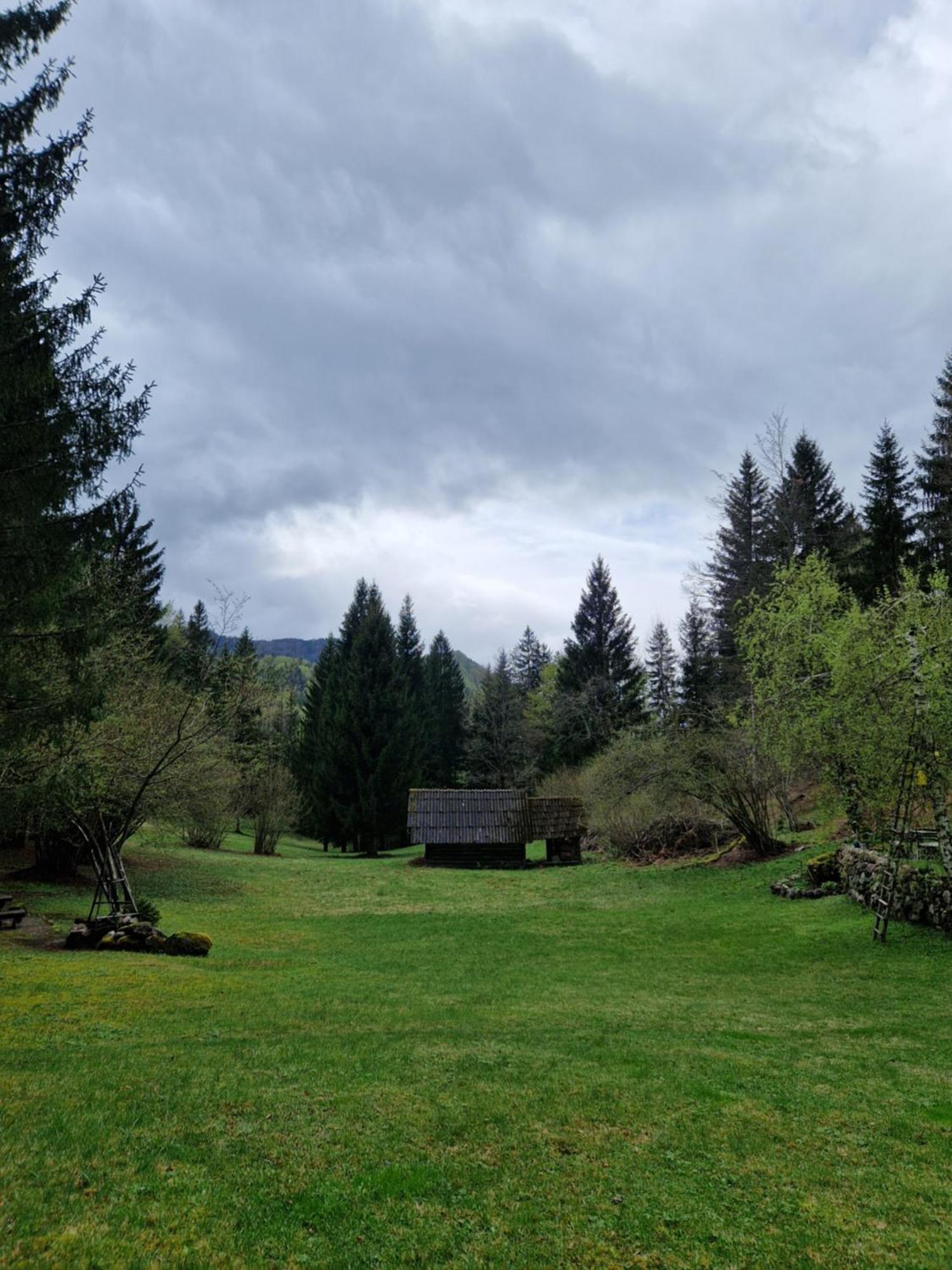 Koca V Gozdu, Forest House Near Bled Bilik gambar
